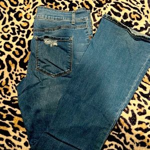 Vanilla Star Mid Ride Slim Flare 13